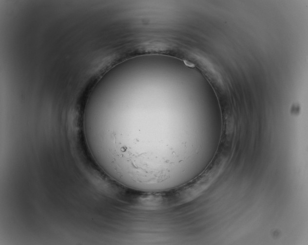 X0000103330362200809051215