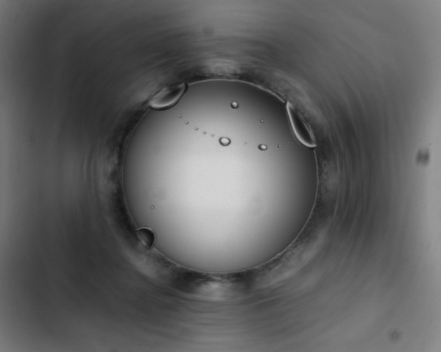 X0000103330364200809051215