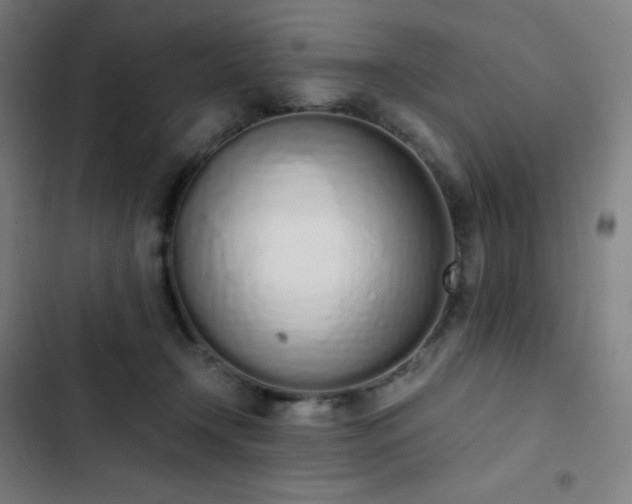 X0000103330366200809051215