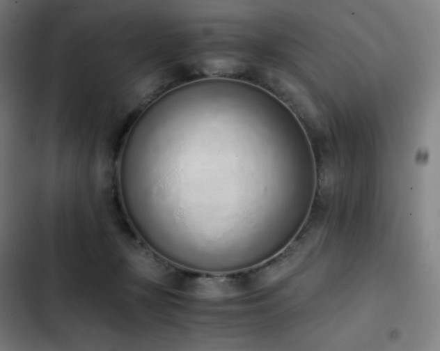 X0000103330367200809051215