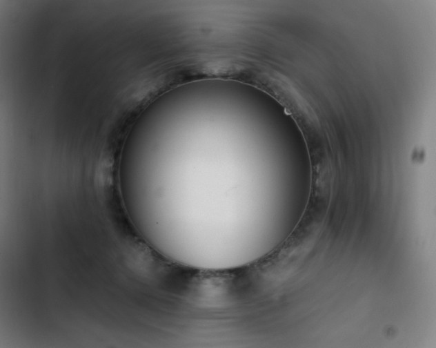 X0000103330368200809051215