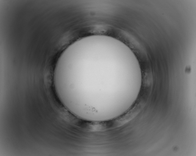 X0000103330370200809051215