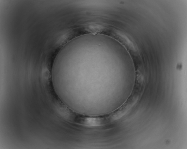 X0000103330371200809051215