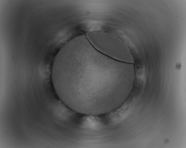 X0000103330372200809051215