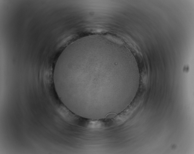 X0000103330376200809051215