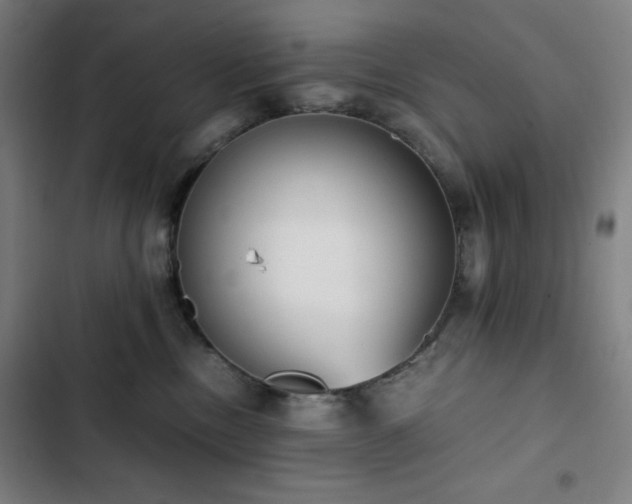 X0000103330378200809051215