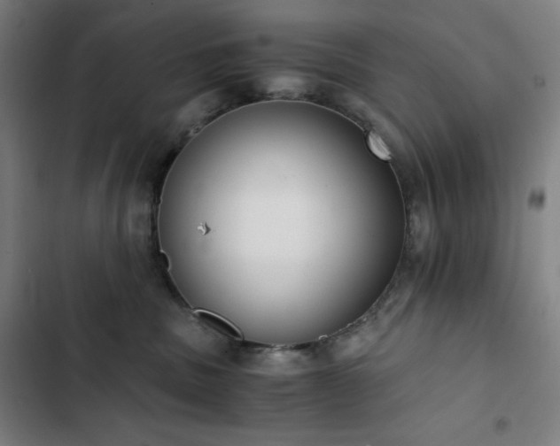 X0000103330379200809051215