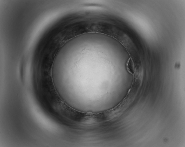 X0000103330381200809051215