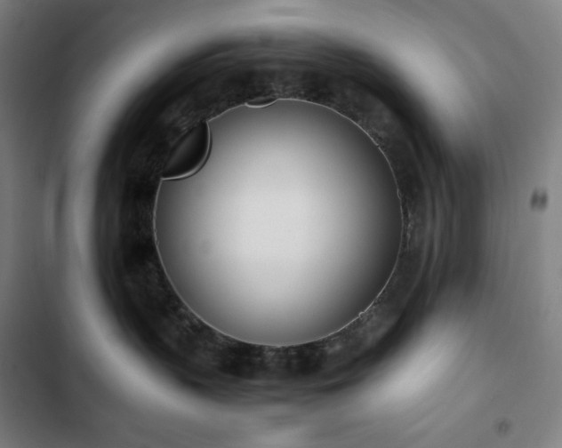 X0000103330383200809051215