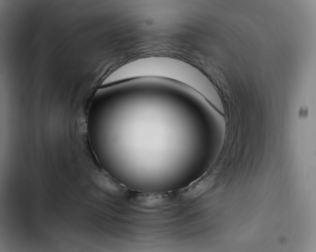 X0000103330384200809051215