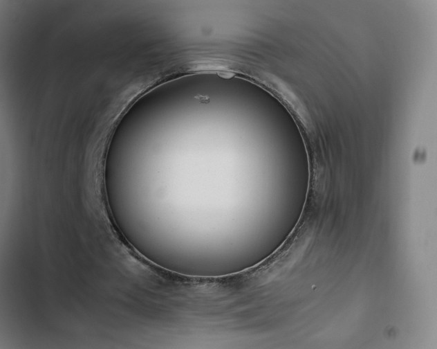 X0000103330385200809051214