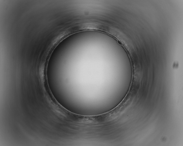 X0000103330386200809051214