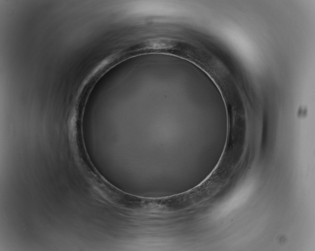 X0000103330387200809051214