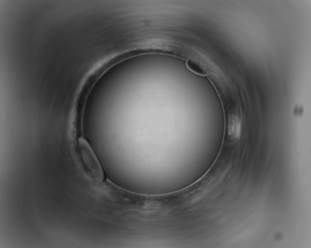 X0000103330388200809051214