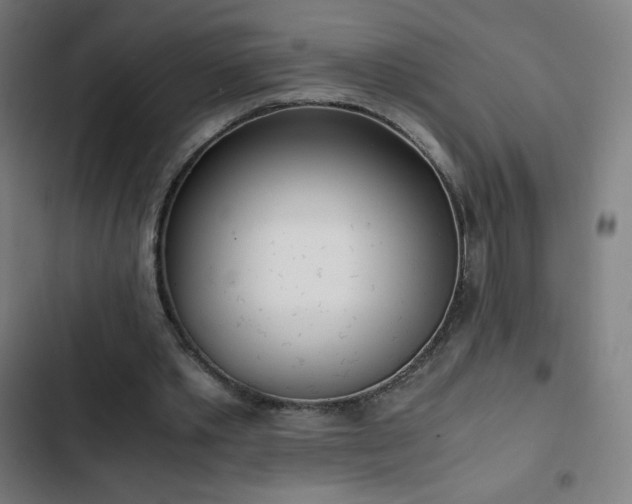 X0000103330389200809051214