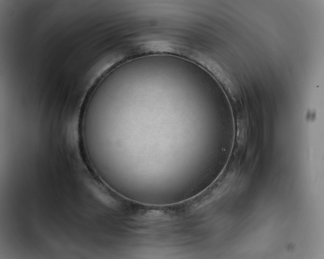 X0000103330390200809051214