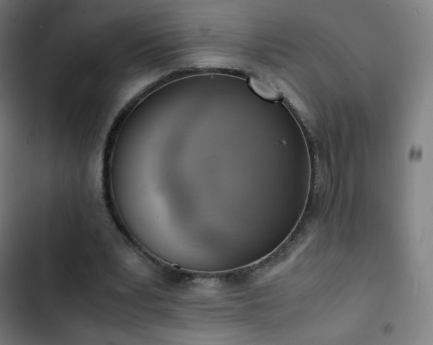 X0000103330391200809051214