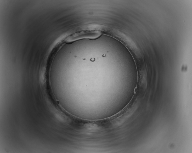 X0000103330392200809051214