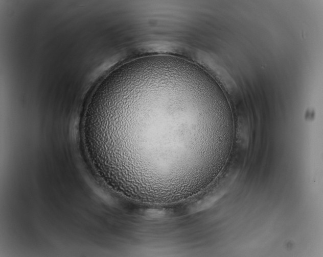 X0000103330394200809051214