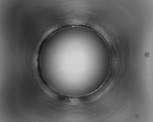 X0000103330395200809051214