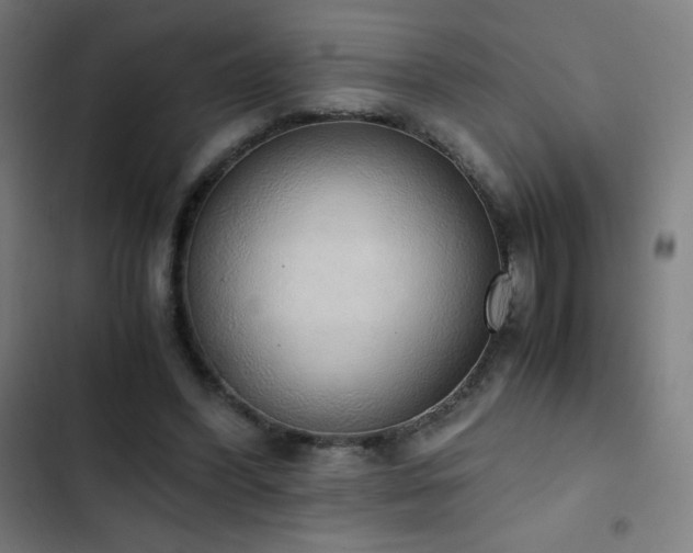 X0000103330396200809051214