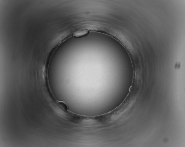 X0000103330397200809051214