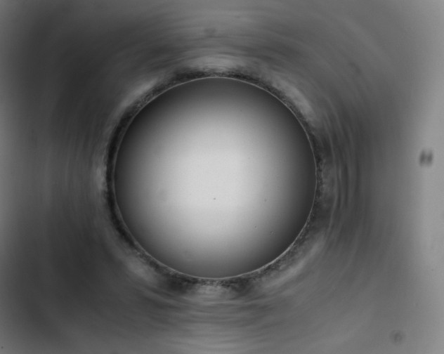 X0000103330399200809051214