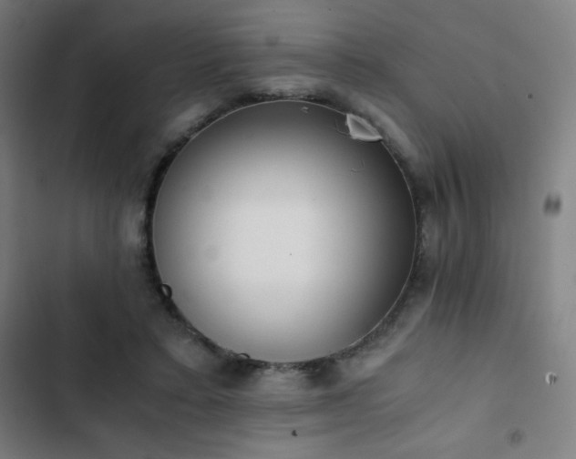 X0000103330403200809051214