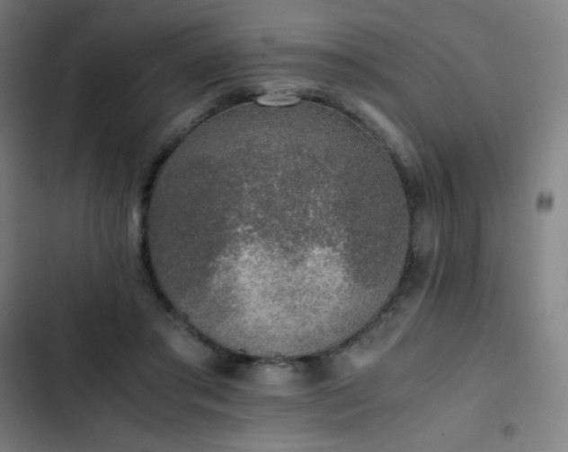 X0000103330405200809051214