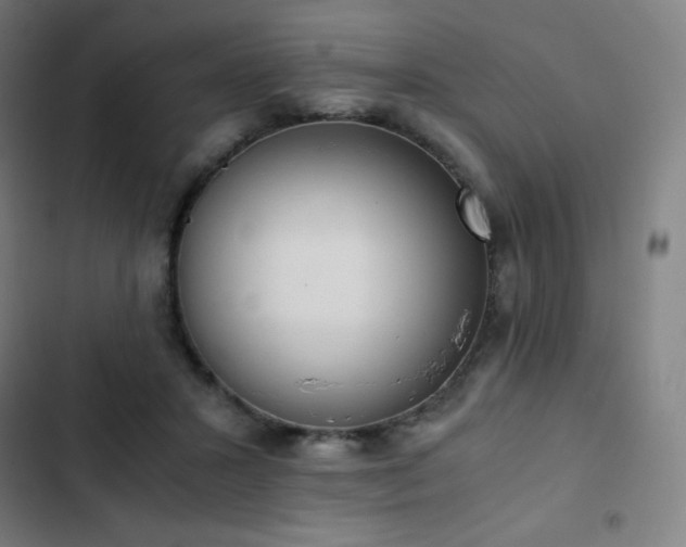 X0000103330407200809051214