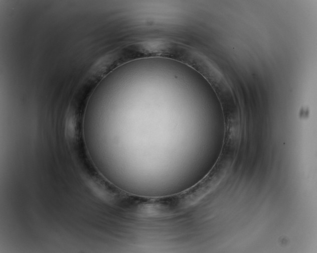 X0000103330408200809051214