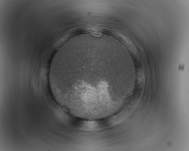 X0000103330409200809051214