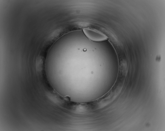 X0000103330412200809051214