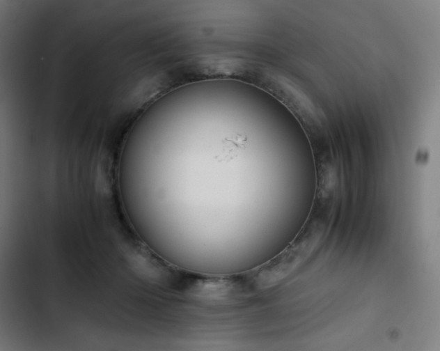 X0000103330414200809051214