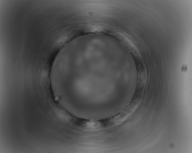 X0000103330415200809051214