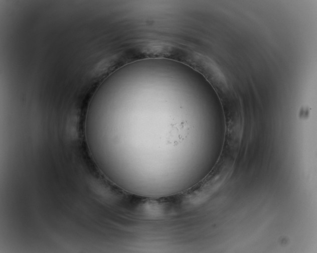 X0000103330416200809051214