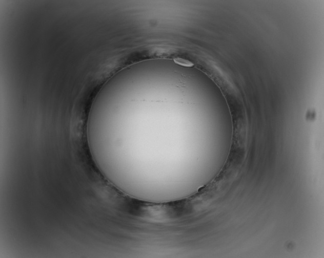 X0000103330417200809051214