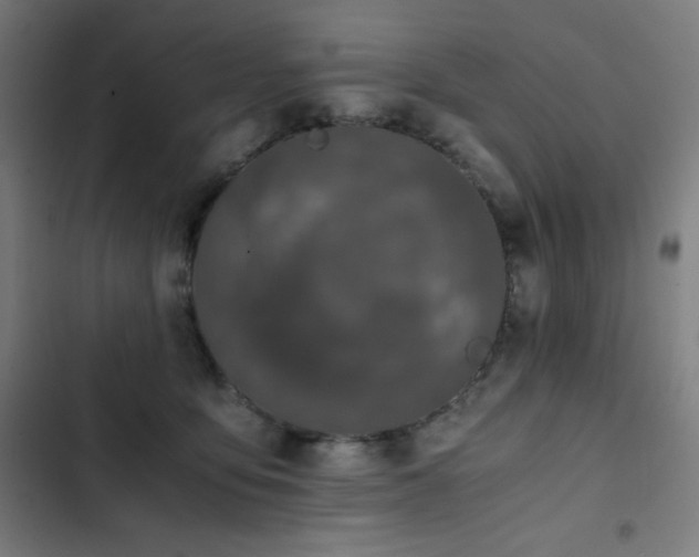 X0000103330419200809051214