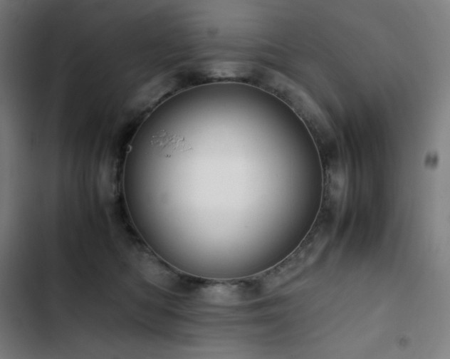 X0000103330422200809051214