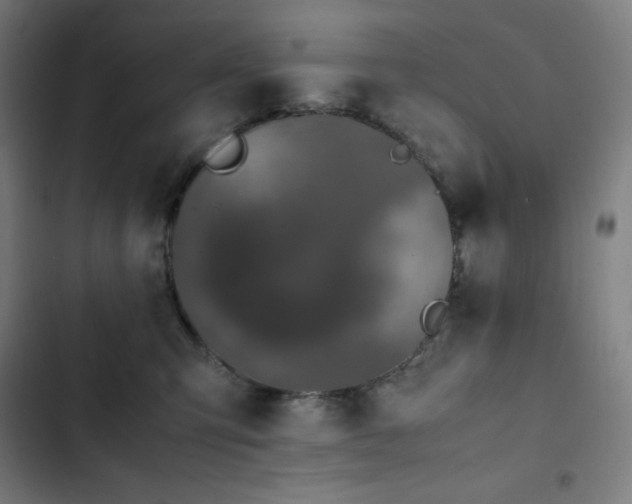 X0000103330423200809051214