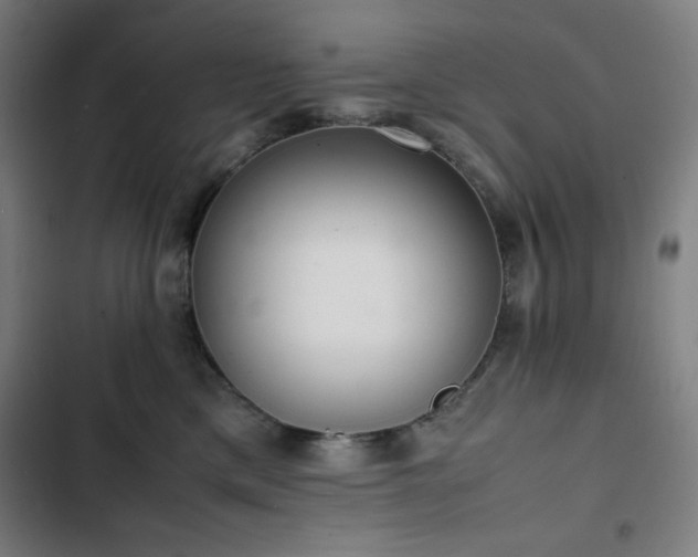 X0000103330425200809051214