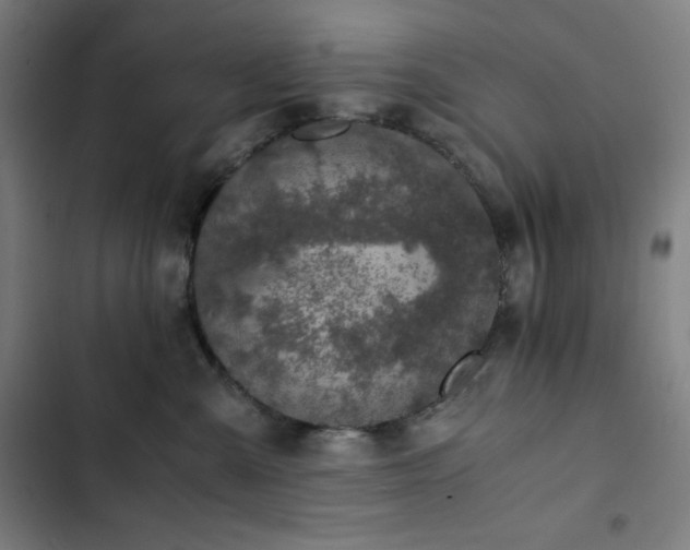 X0000103330427200809051214