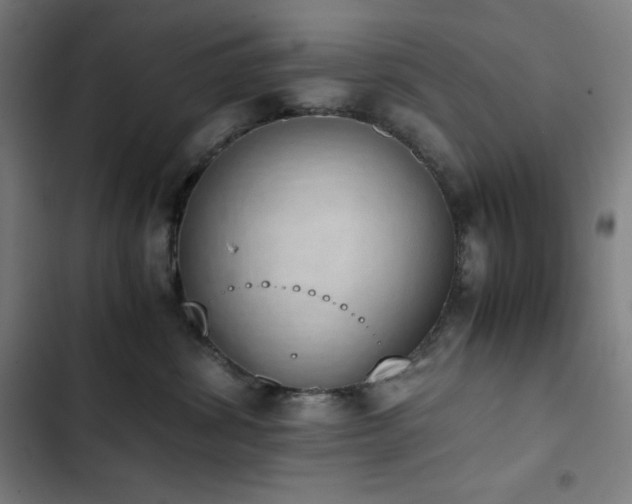 X0000103330428200809051214