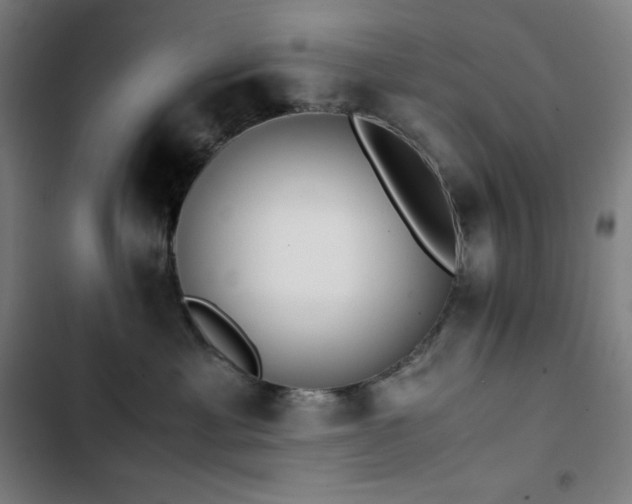 X0000103330429200809051214