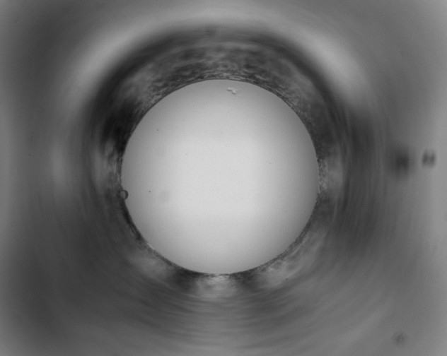 X0000103330431200809051214