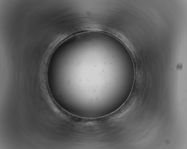 X0000103330433200809051213