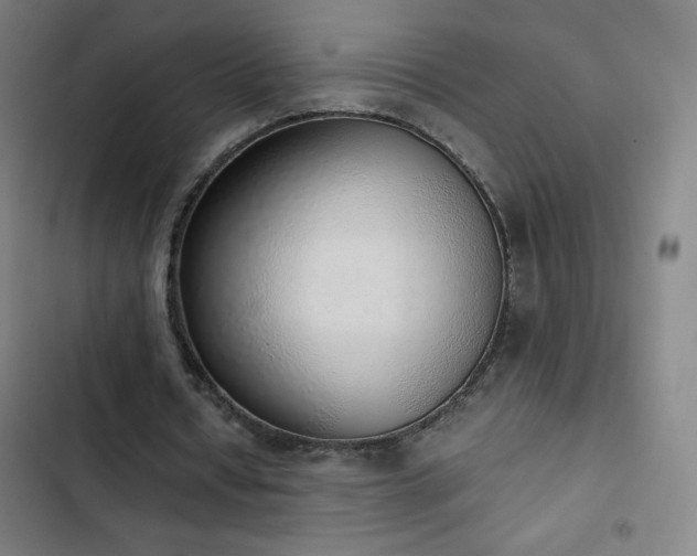 X0000103330434200809051213