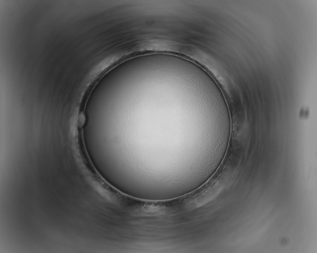 X0000103330437200809051213