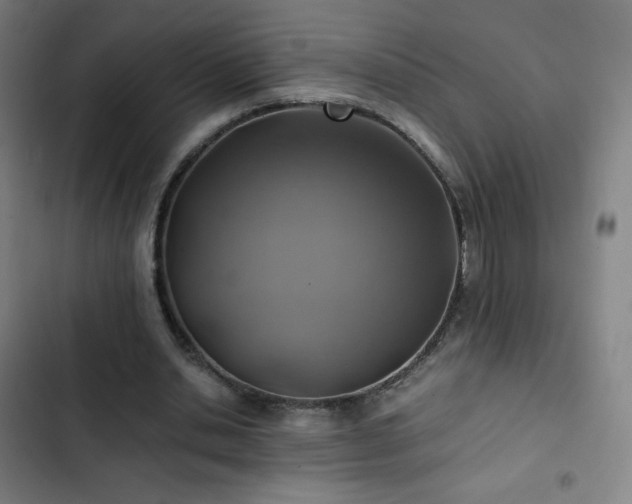 X0000103330438200809051213