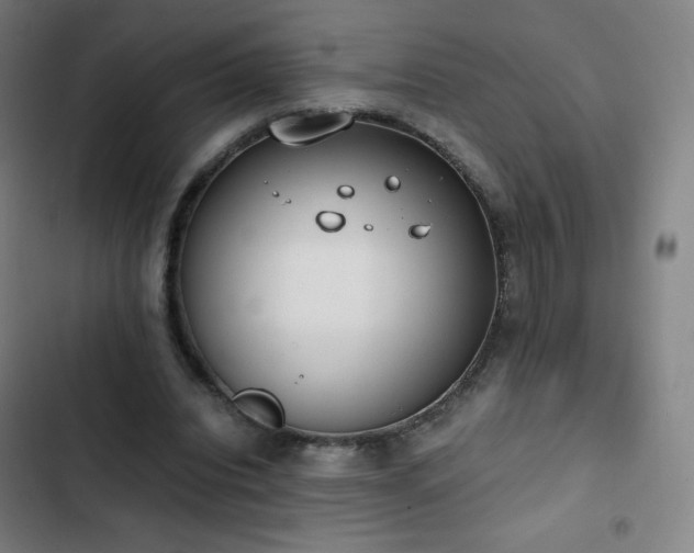 X0000103330440200809051213